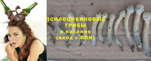 бошки Богородск
