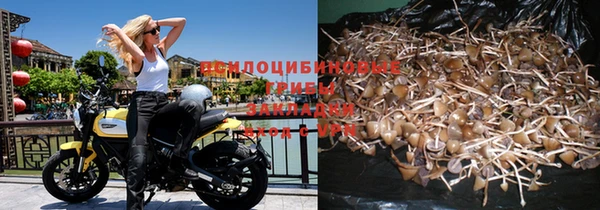 бошки Богородск