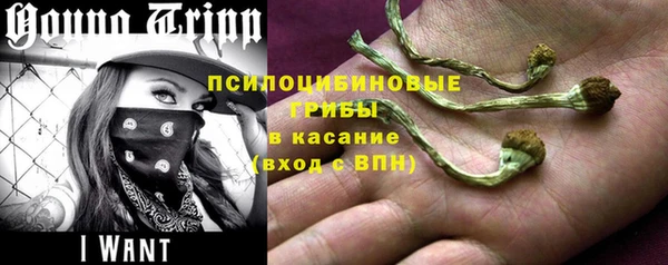 бошки Богородск