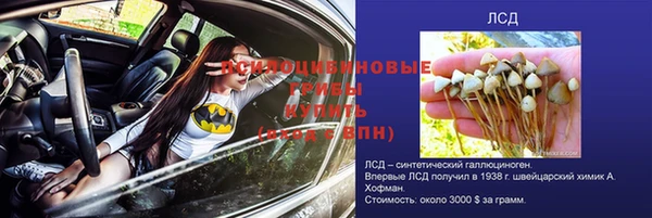 бошки Богородск
